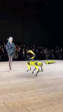 Boston Dynamics