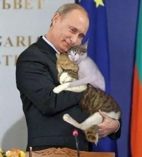 プーチンとにゃんず