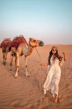 Desert Safari, Abu Dhabi