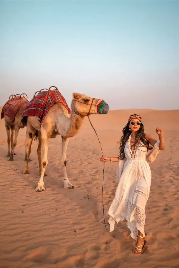 Desert Safari, Abu Dhabi