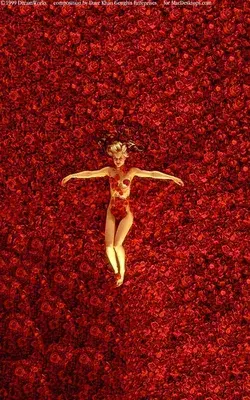 Scene from film " American Beauty" 720p HD  -- Falling Rose Petals - YouTube