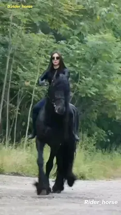 Friesian horse riding... 🖤 black heart horse. fallow for more 🫀🐎🖤