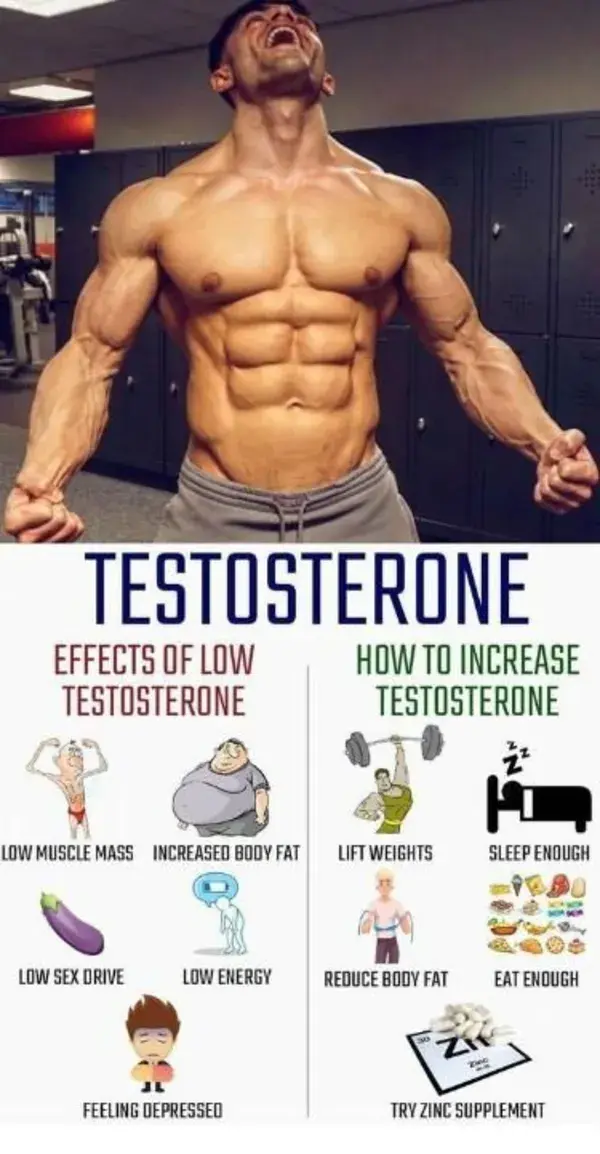 Effect's of Low Vs High Testosterone