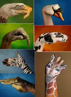 Amazing hand painting arts 👏