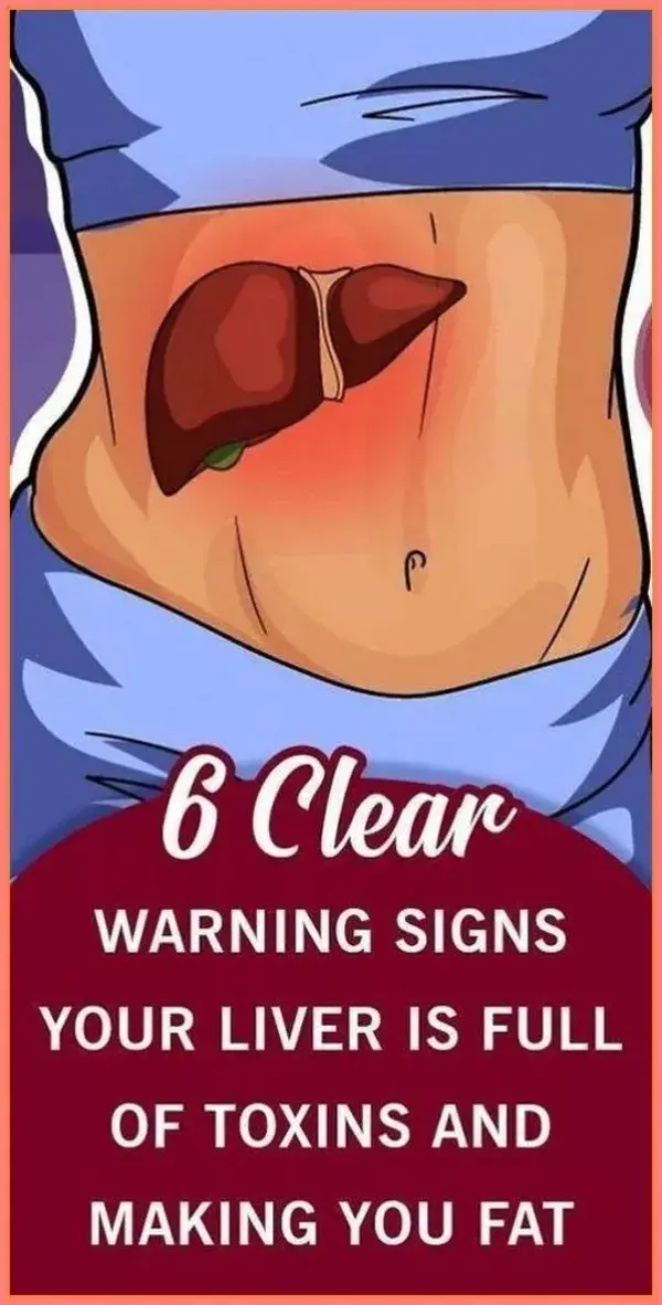 6 Signs That Your Liver  | Smore Newsletters