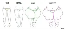 Different body types