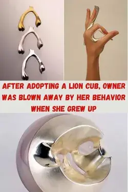 After Adopting a Lion Cub, Owner Was Blown Away by Her Behavior When She Grew Up