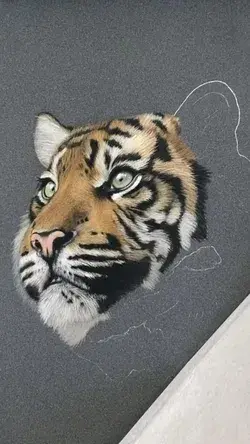 Drawing a realistic tiger and pls suscribe to my channel❤