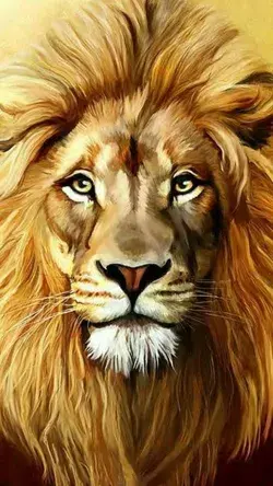 Wallpaper Lion: Capturing the Majesty of the King of the Jungle