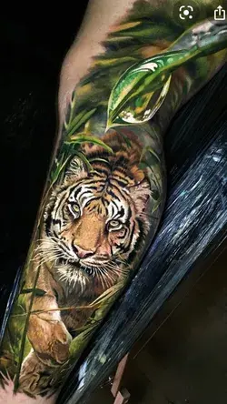 Jungle Tiger