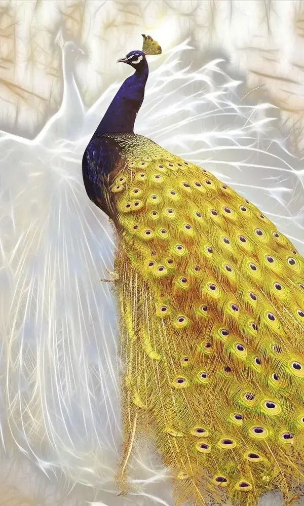 Most Gorgeous Peacock Photos You've Ever Seen - Watch Video-Birds Animals Nature Aesthetic Wallpaper