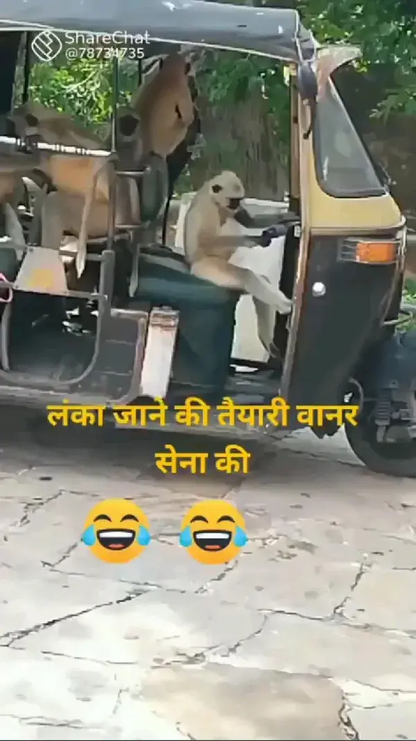 funny monkey 🐒🐒🐵🐵