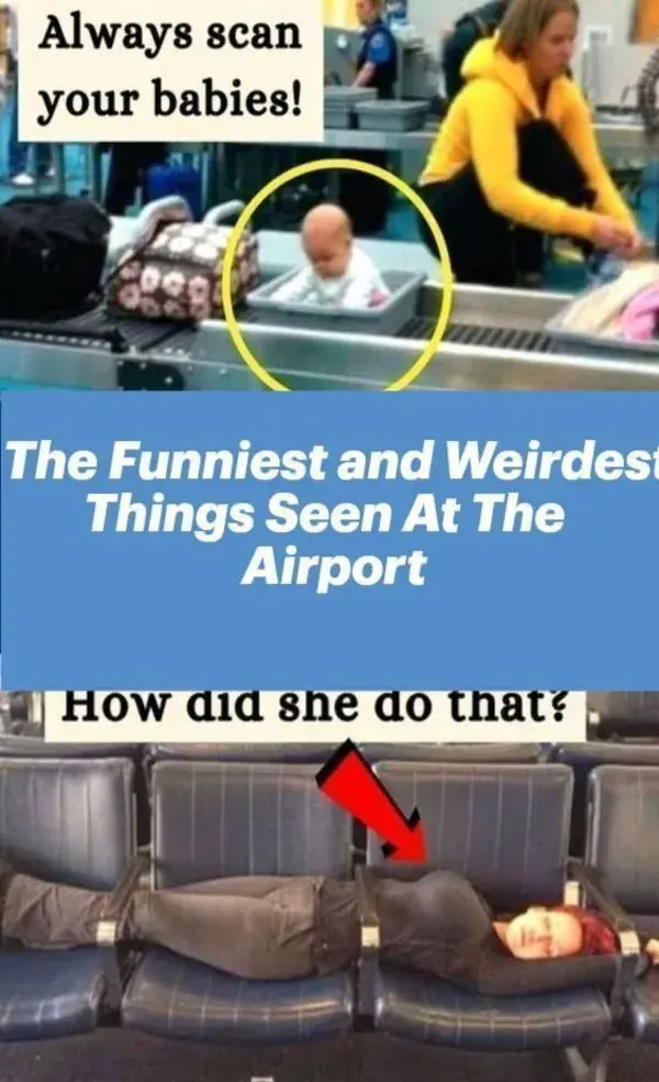 The Funniest and Weirdest Things Seen At The Airport