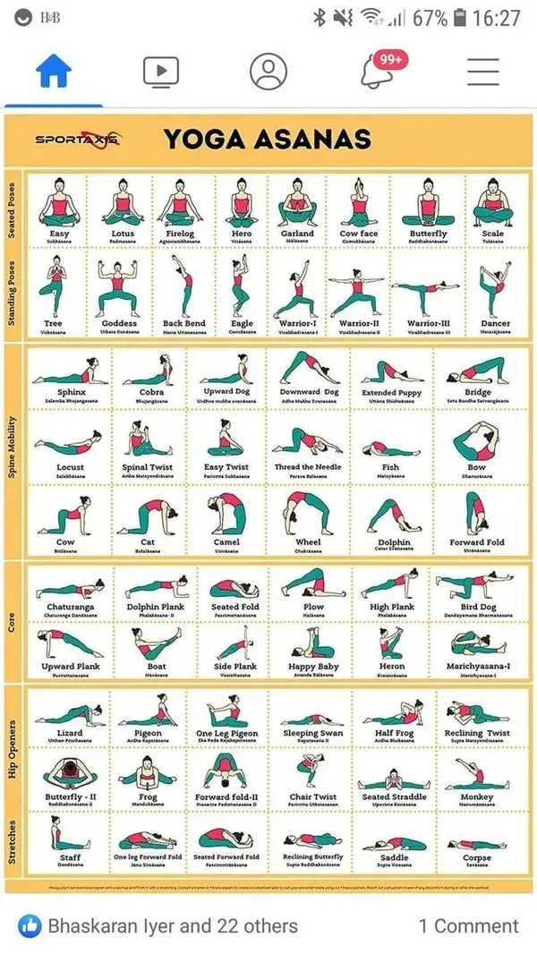 Pin by Jayalakshmi Ambikapathy on yoga | Yoga facts, Yoga lessons, Easy yoga workouts