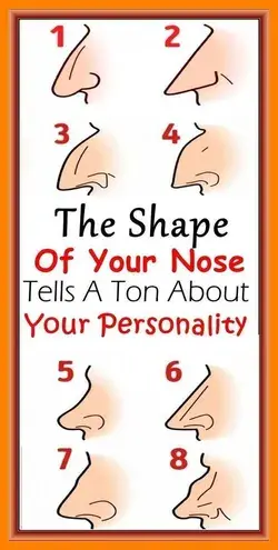 The Shape Of Your Nose Tells A Ton About Your Personality!