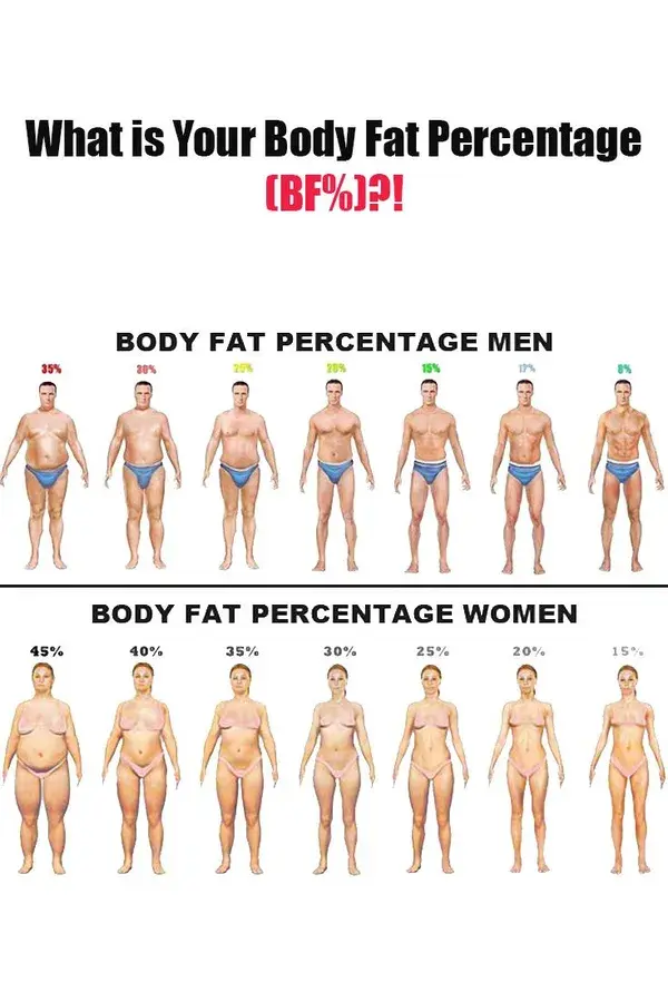 Body Fat Percentage... then what is it?