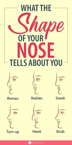 What The Shape Of Your Nose Tells About You