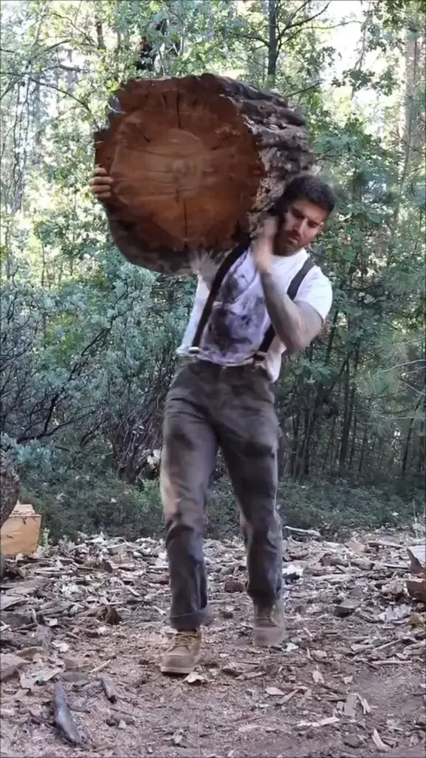 Let’s split a big wood piece