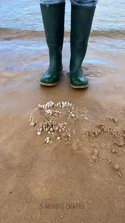 Taking a shell tour at the beach