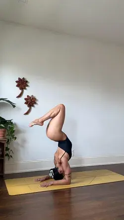 Pincha Hollowback Variation