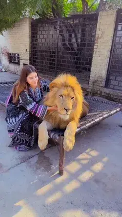 Lion with beautiful lady