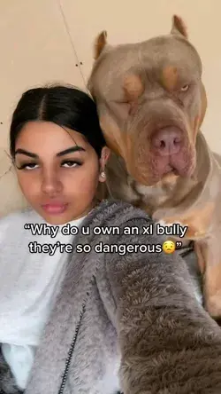 would you want to get this big dog ? 🐕 🤔