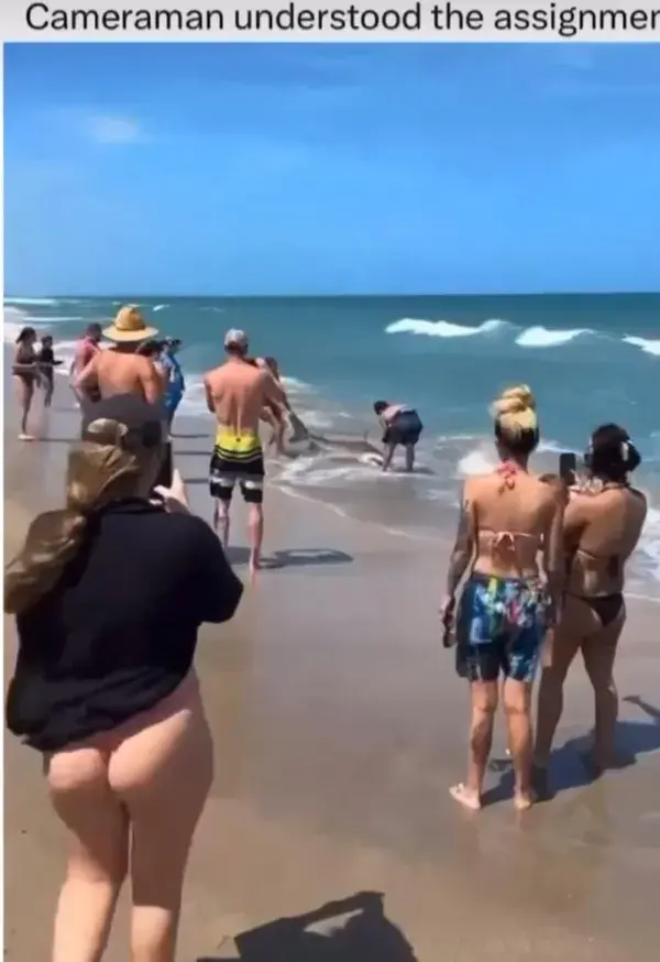 Man grabs shark by the tail but the cameraman caught something else