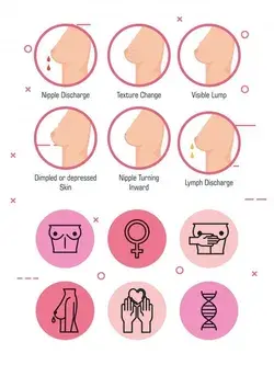Types of appearances of the breast | Free Vector