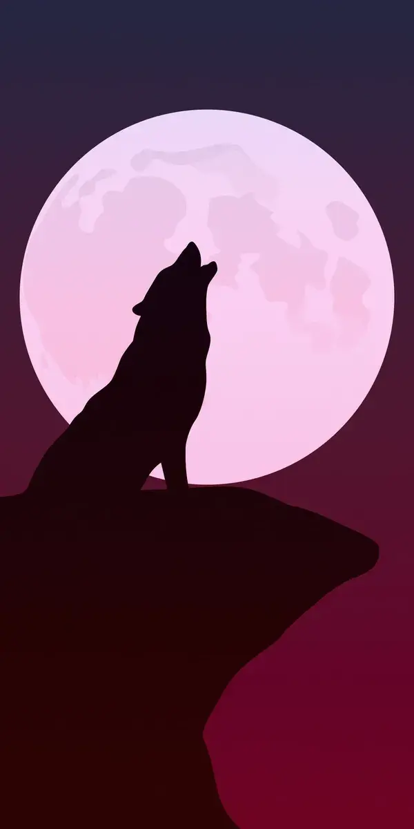 Howling, wolf, silhouette, minimalist art wallpaper