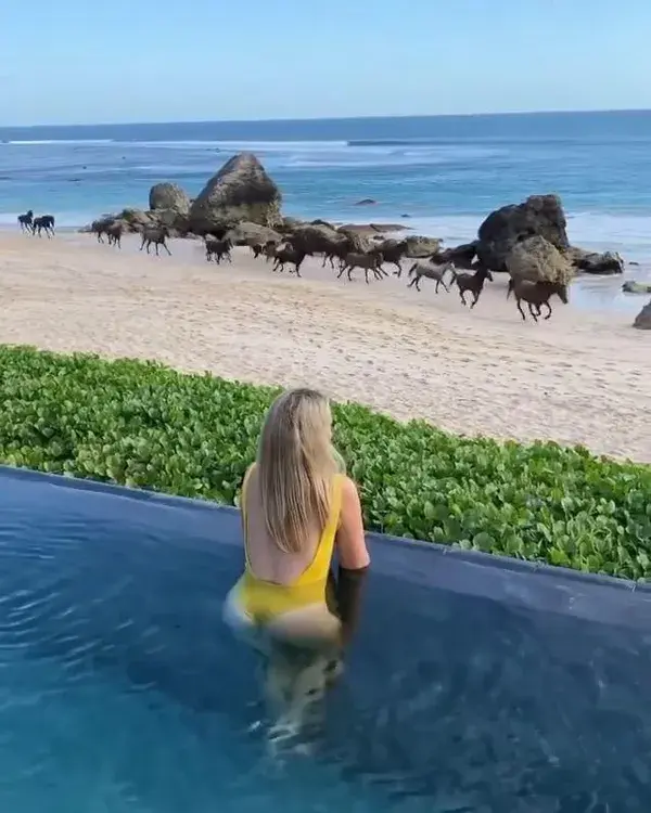 Pool with a view at Nihi Sumba in Indonesia