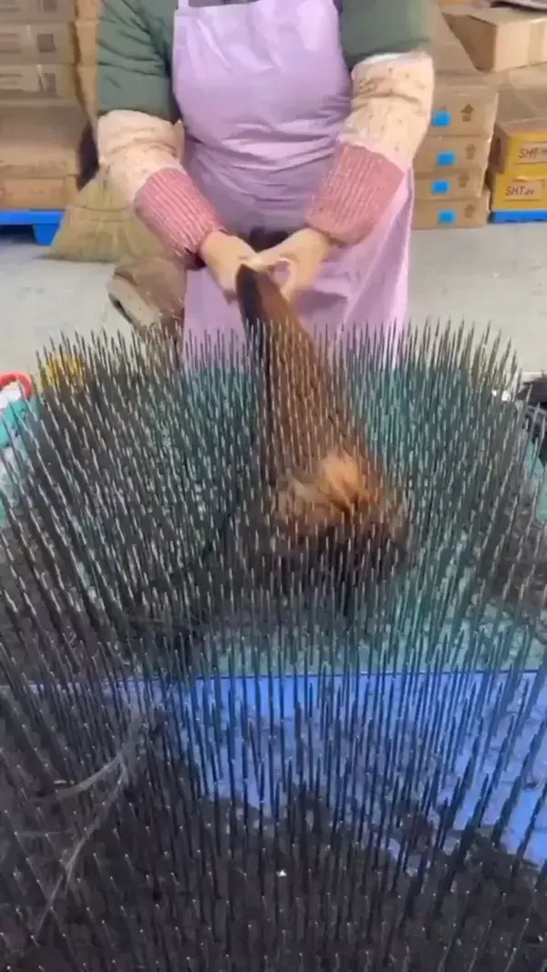 Satisfying video 🤩