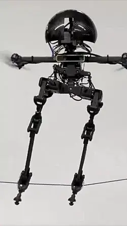 This humanoid robot can walk and fry!