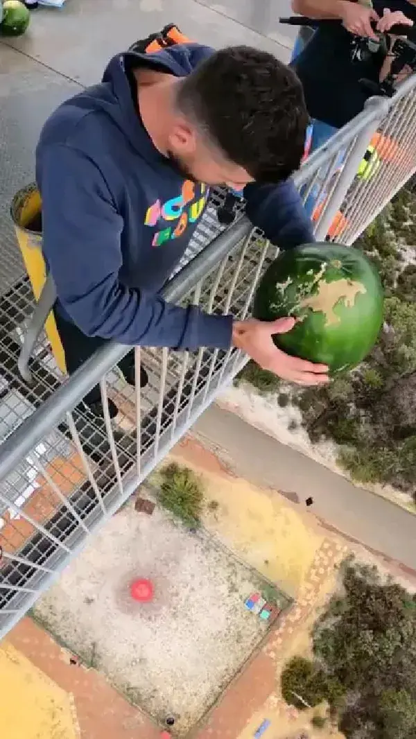 Watermelon Vs. World_s Largest Exercise Ball