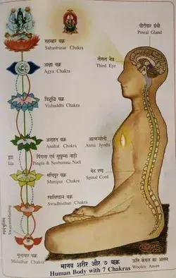 Human Body's Chakras