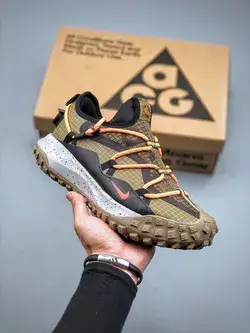 Nike ACG Mountain Fly Low GTX SE Hazel Rush DD2861-200