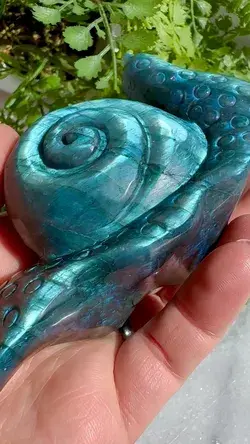 Available! Labradorite Snail Crystal