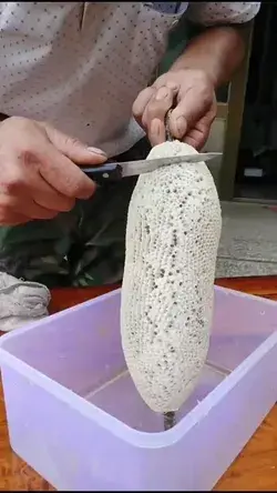 Slicing Of Juicy Pigment