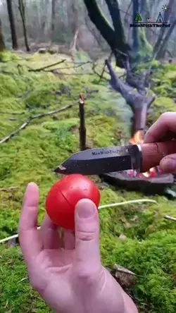 outdoor cooking