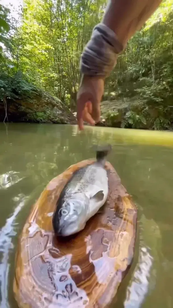 Cooking salmon on natural stone 🐟