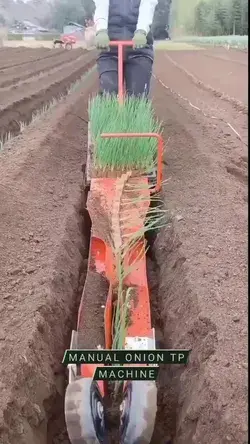 Onion Transplanting Machine @phingrow