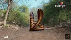 Naagin 4 Vishaka half snake image