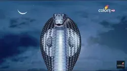 Naagin sesha giant black snake front view