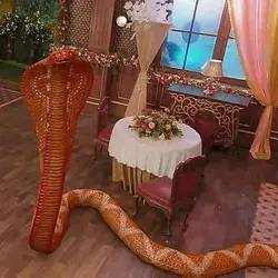 Naagin 5 bani snake image