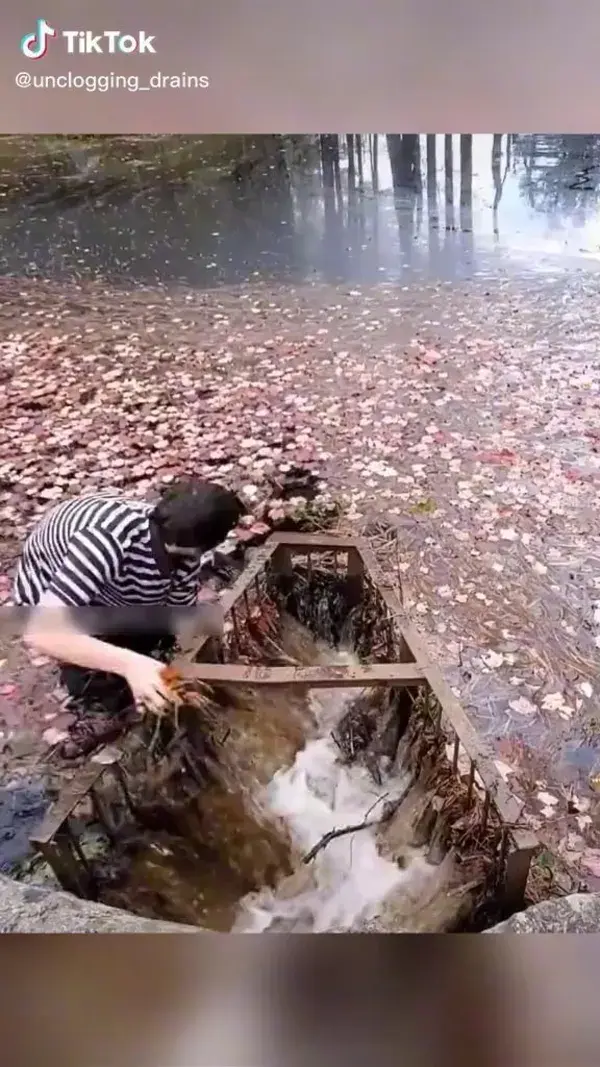 Relax Unclogging a River