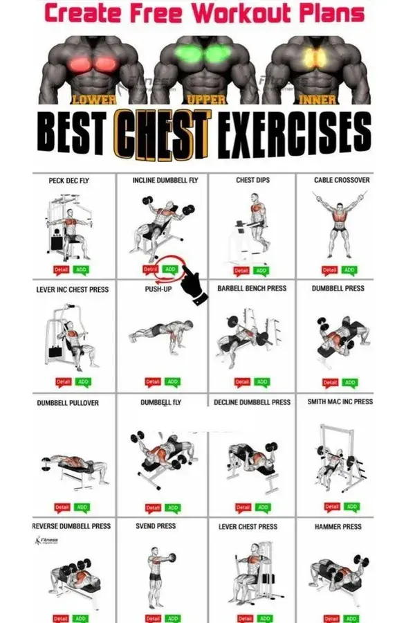 Get a Massive Chest: Discover the Best Exercises for Incredible Upper Body Strength