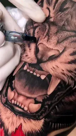 Tiger Tattoo