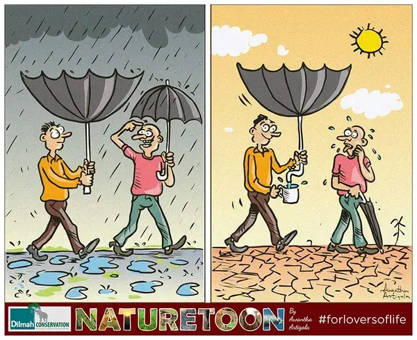 Naturetoon