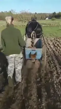 An ancient device for planting potatoes.