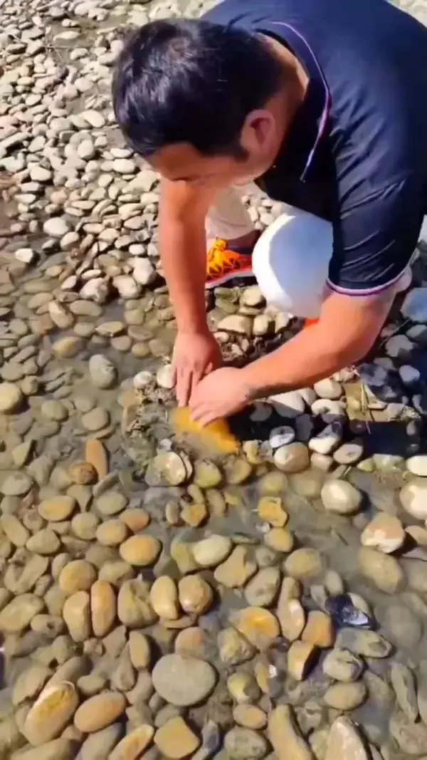 A rare treasure from the depths of sea: an astonishing yellow jade crystal discovered on the beach!