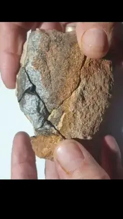 Hidden beauty in this rock.